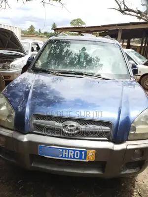 Hyundai Tucson 2007 Bleu