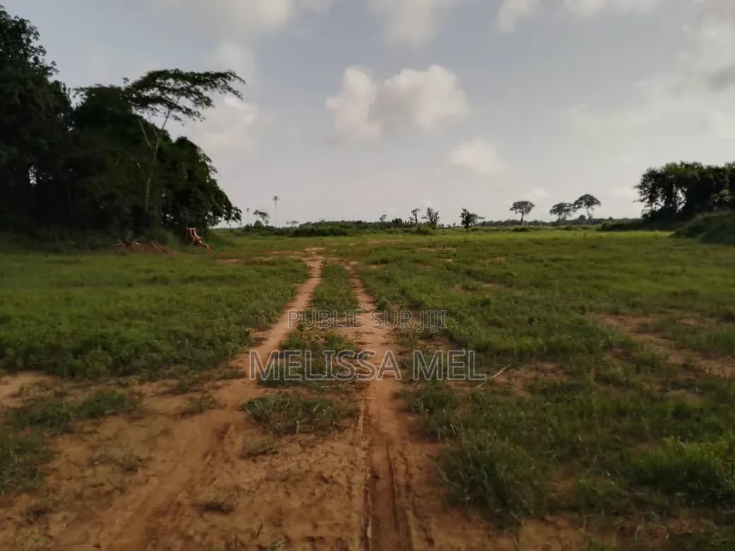 Terrain en Vente