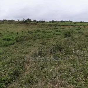 Terrain en Vente