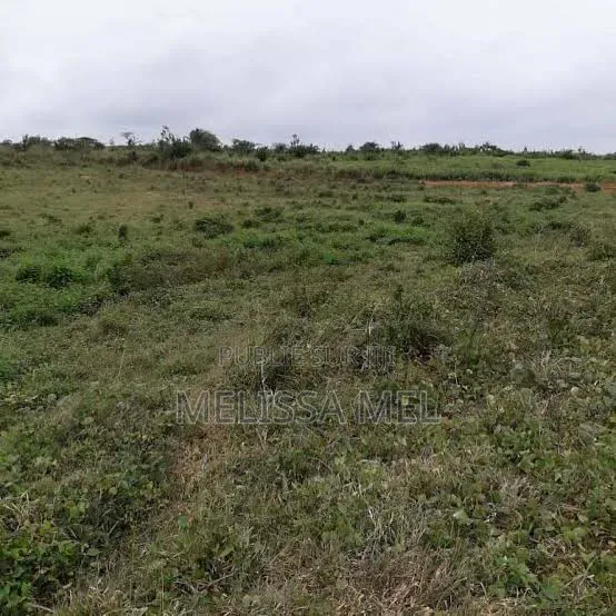 Terrain en Vente