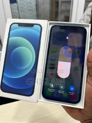Nouveau Apple iPhone 12 256 GB Bleu