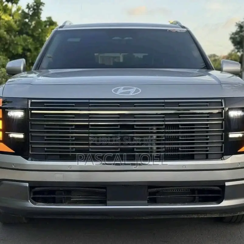 Nouveau Hyundai Palissade Calligraphy 2026 Autre