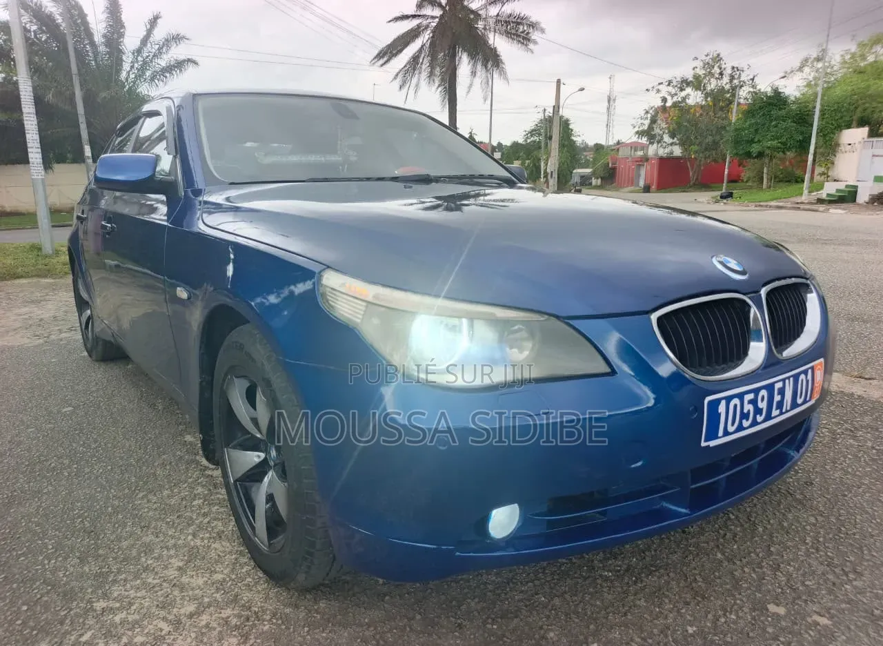 BMW 5 Series 2004 Bleu