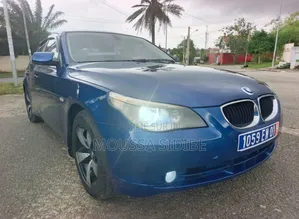 BMW 5 Series 2004 Bleu