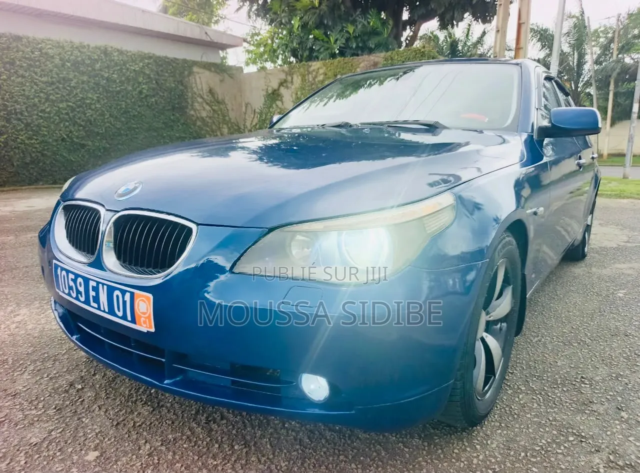 BMW 5 Series 2004 Bleu