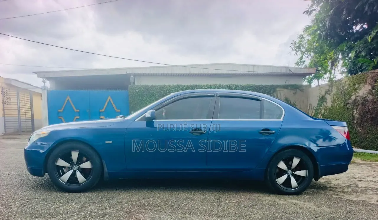 BMW 5 Series 2004 Bleu