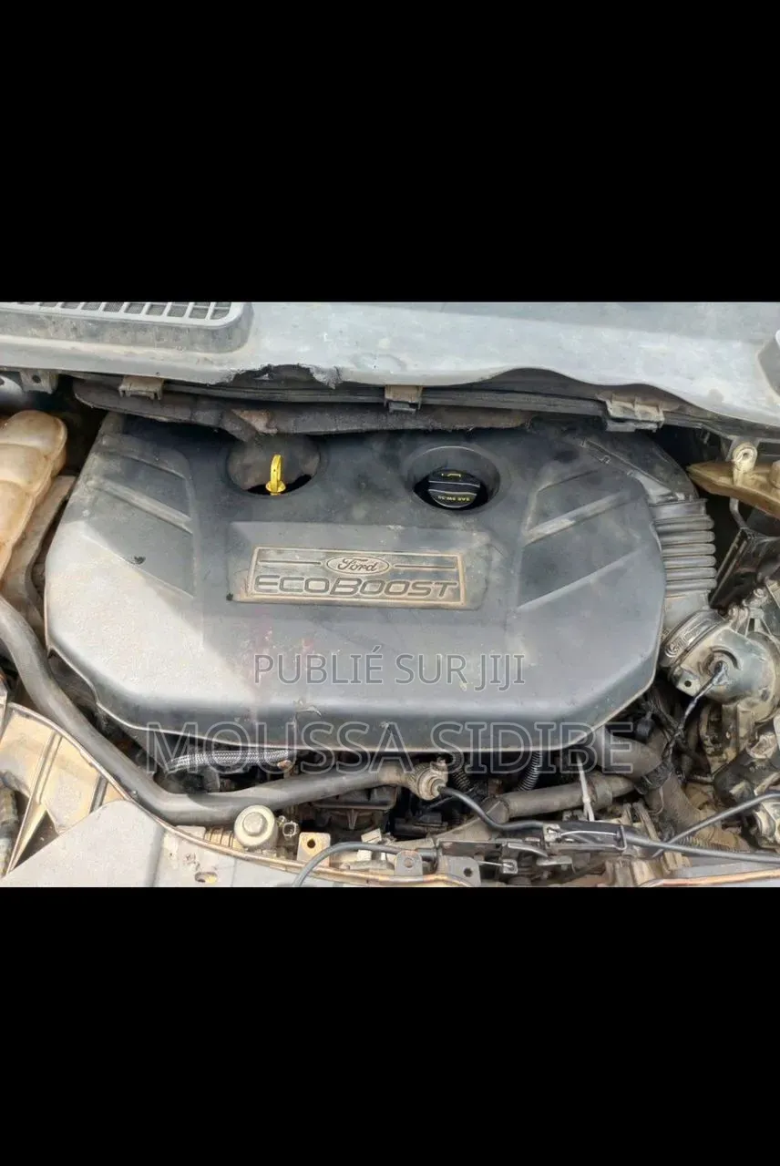 Ford Escape S 4dr SUV (2.5L 4cyl 6A) 2014 Gris