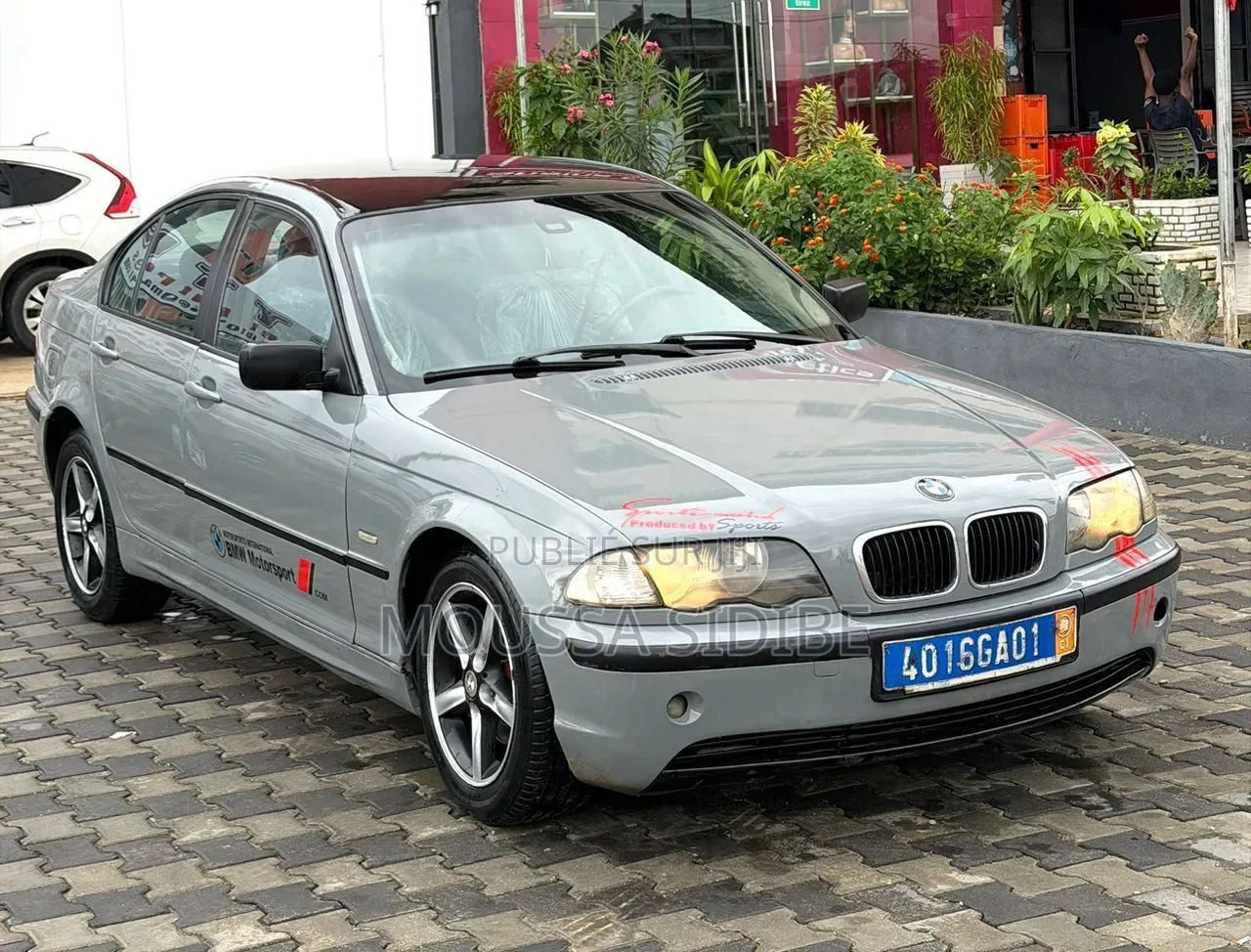 BMW 3 Series 316i RWD 2005 Bleu
