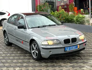 BMW 3 Series 316i RWD 2005 Bleu
