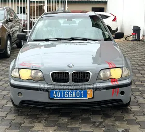 BMW 3 Series 316i RWD 2005 Bleu