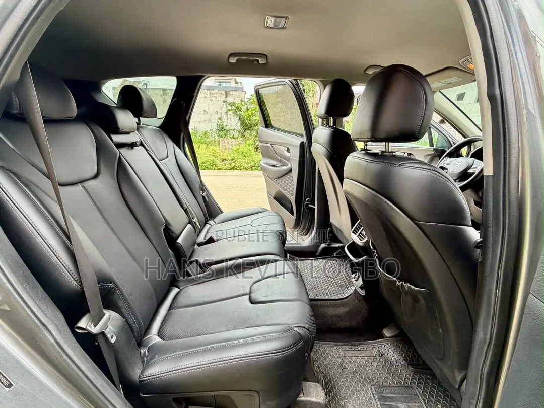 Hyundai Santa Fe 2020 Gris