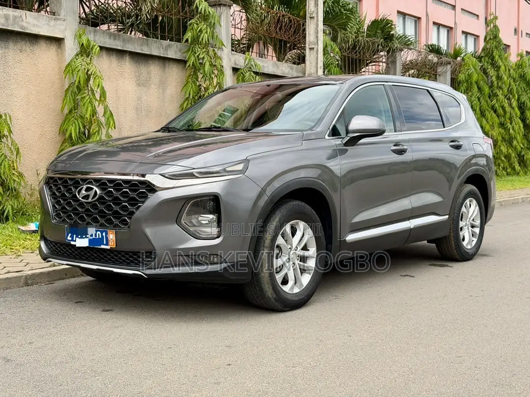 Hyundai Santa Fe 2020 Gris
