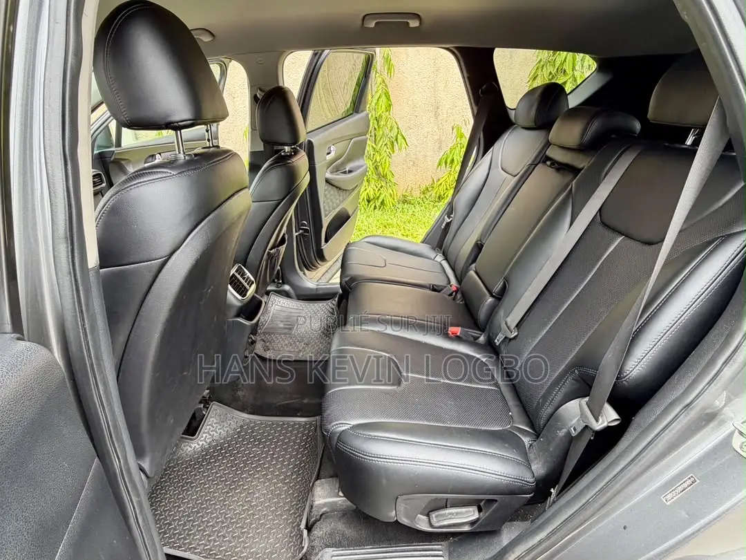 Hyundai Santa Fe 2020 Gris