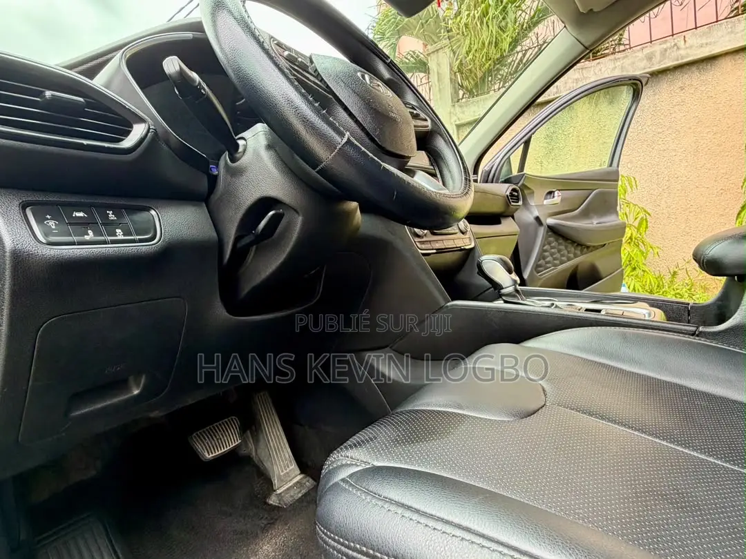 Hyundai Santa Fe 2020 Gris