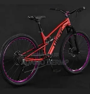 Vélo Électrique