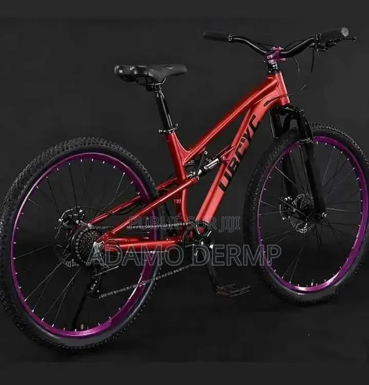 Vélo Électrique