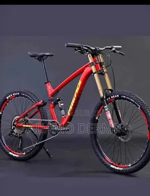 Vélo Électrique