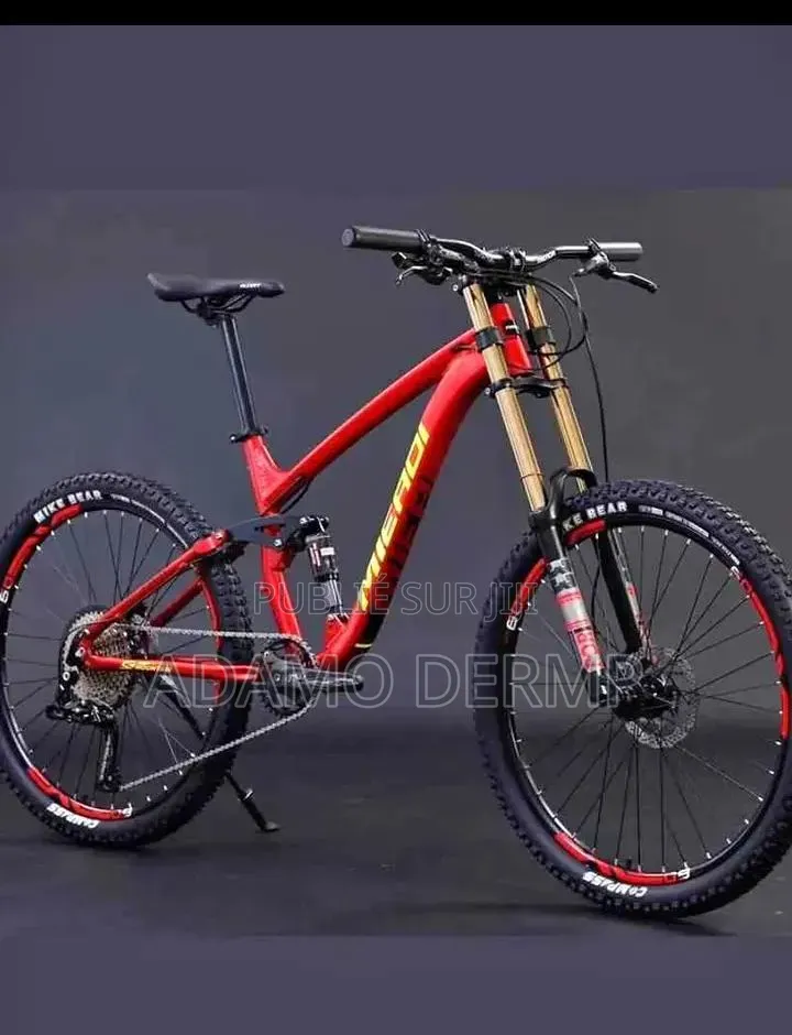 Vélo Électrique