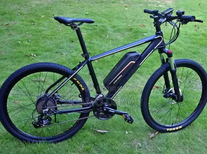 Vélo Électrique
