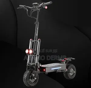 Trottinette Électrique