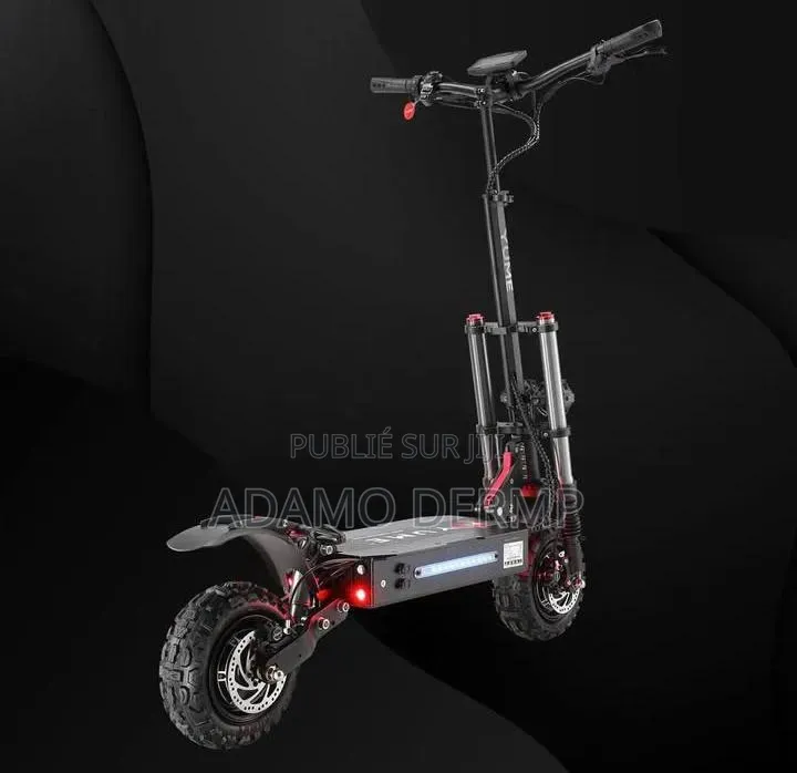 Trottinette Électrique