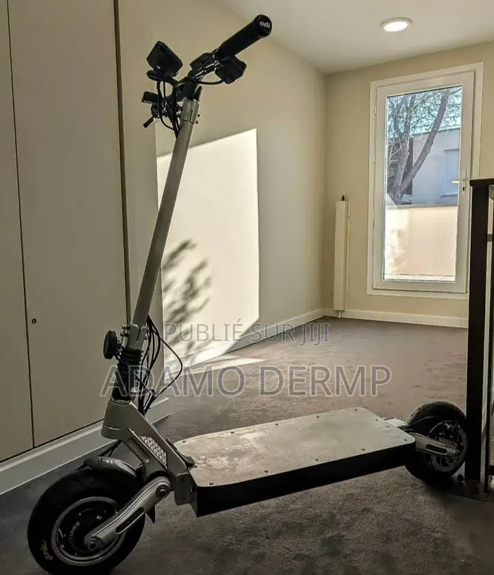 Trottinette Électrique