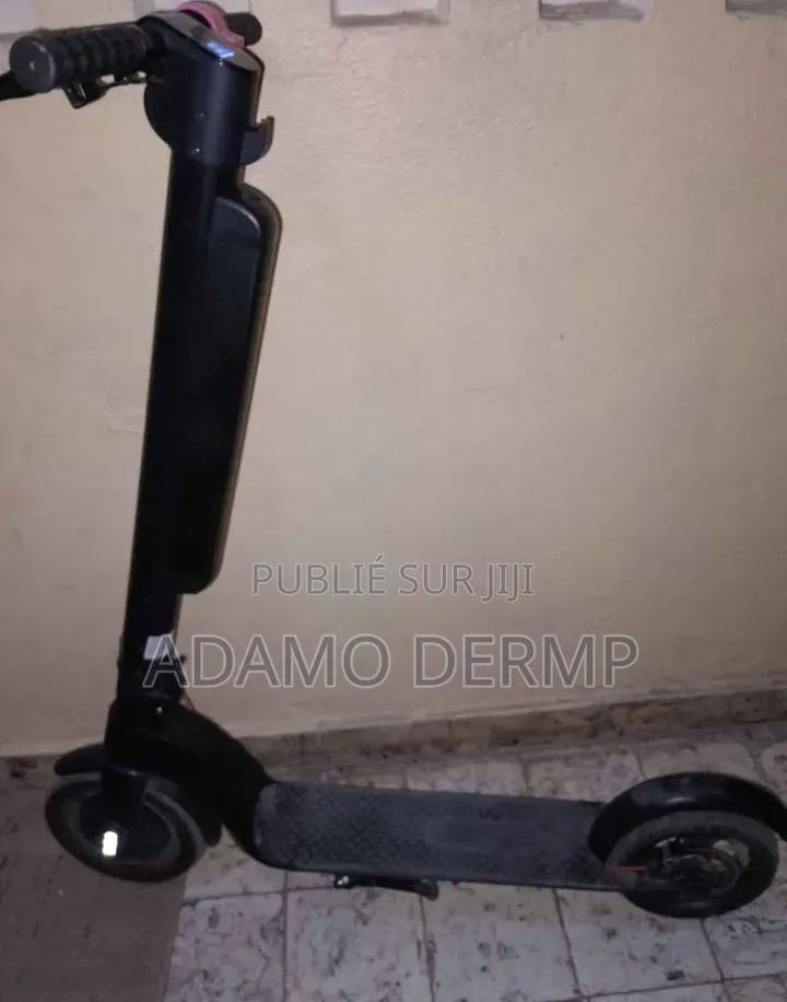 Trottinette Électrique