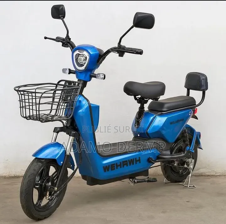 Moto Électrique