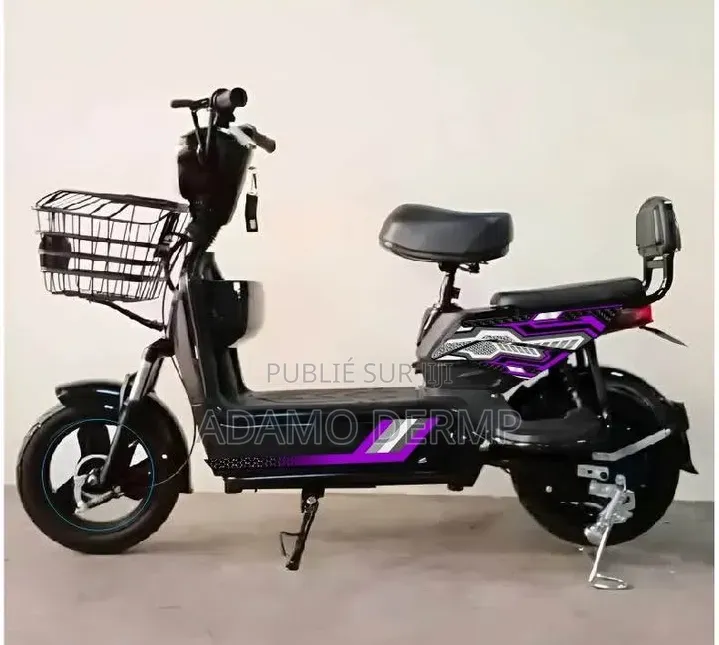 Moto Électrique