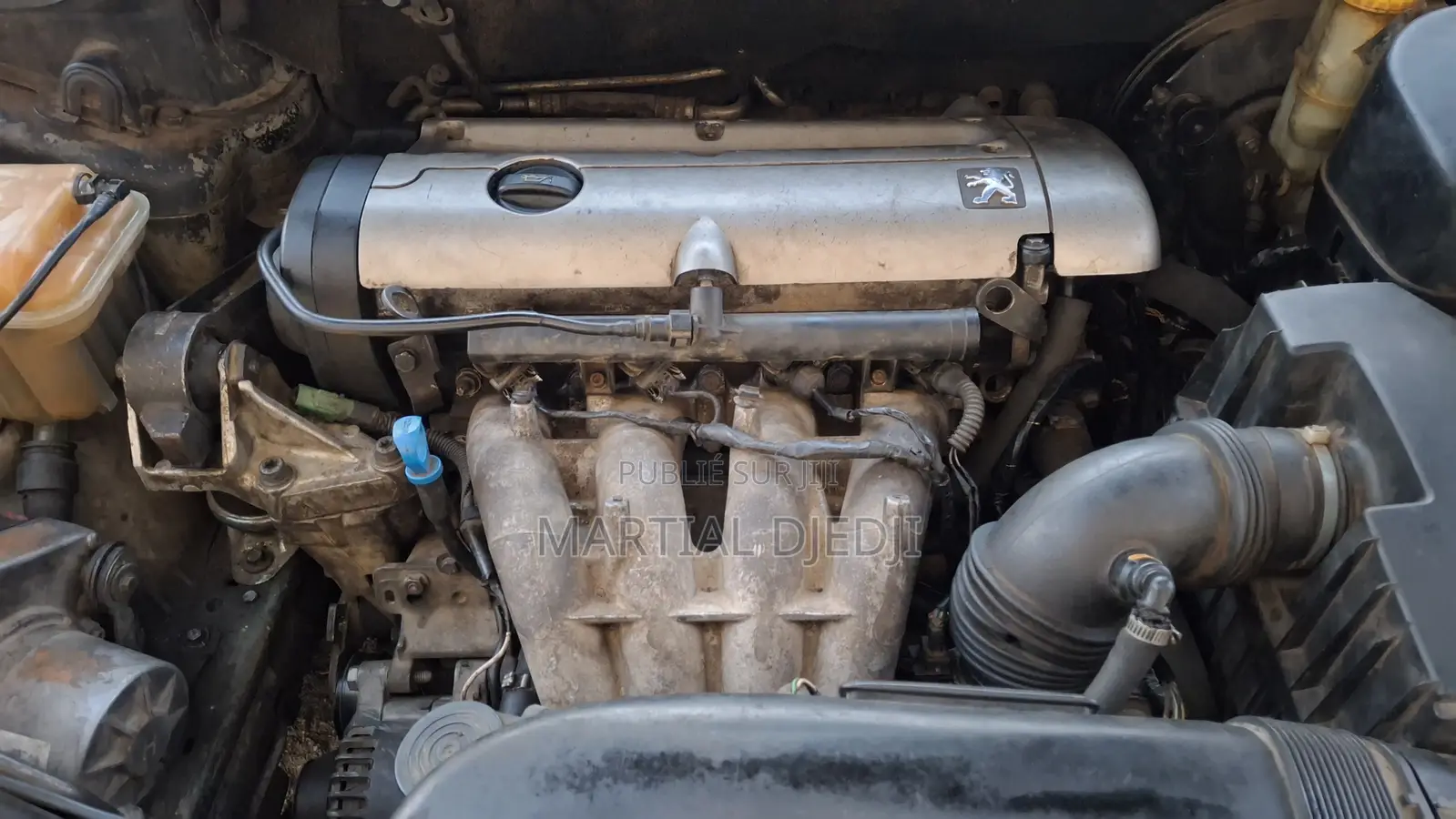 Peugeot 407 2004 Gris