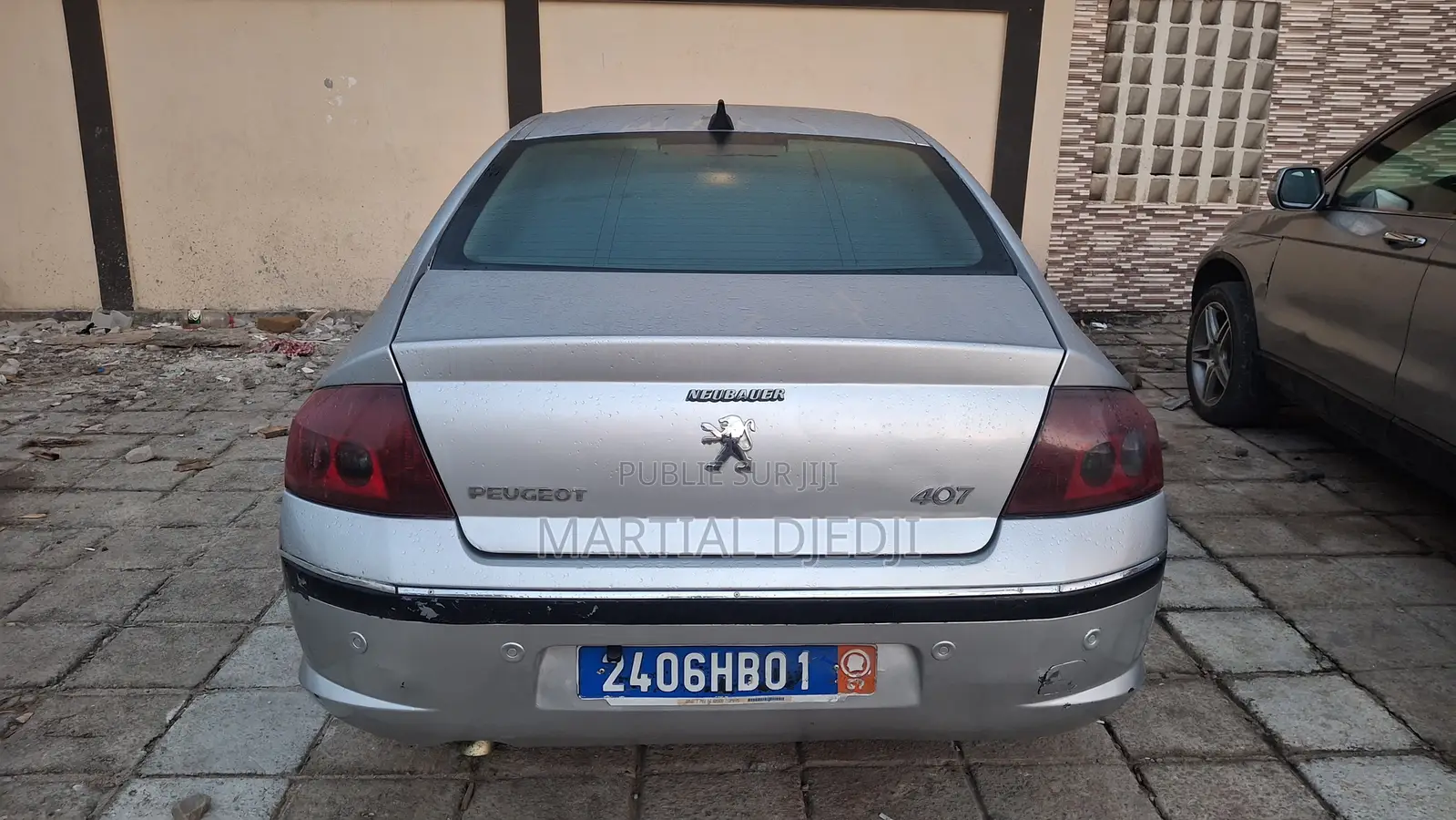 Peugeot 407 2004 Gris
