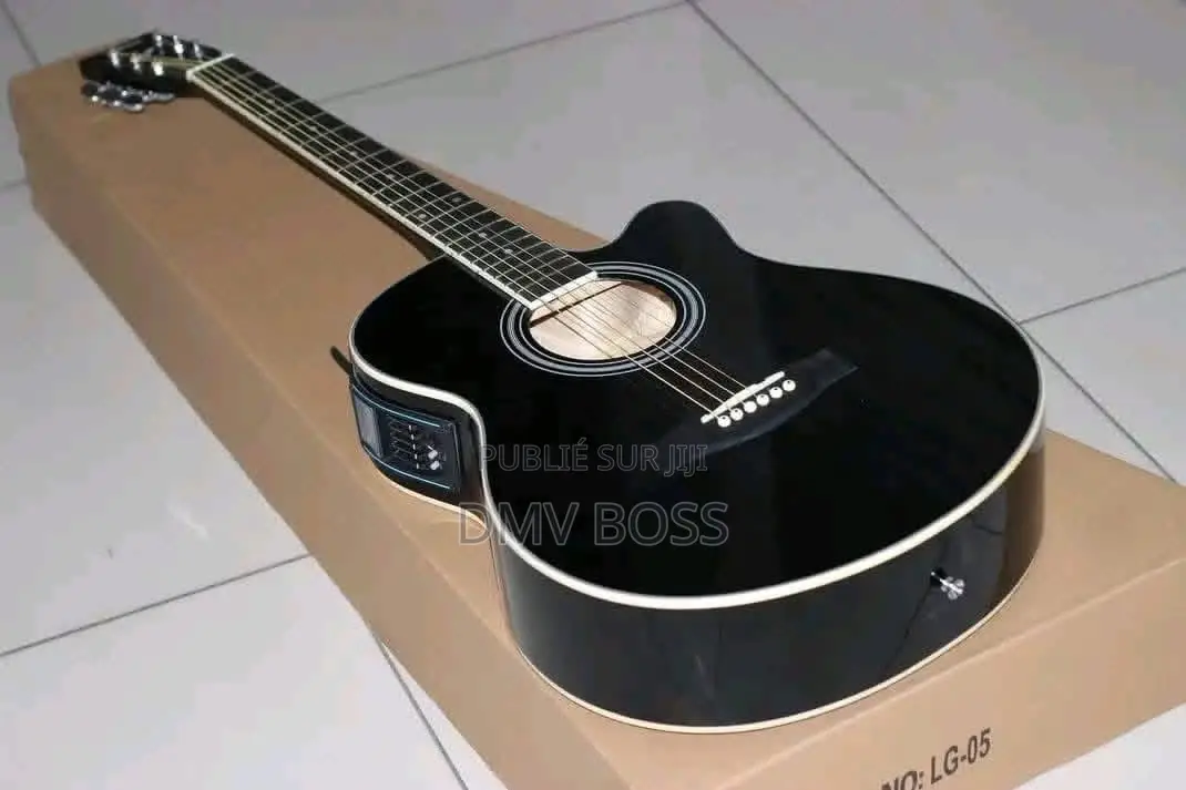Guitare Acoustique Et Électronique