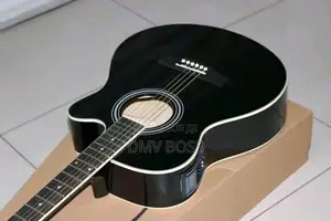 Guitare Acoustique Et Électronique