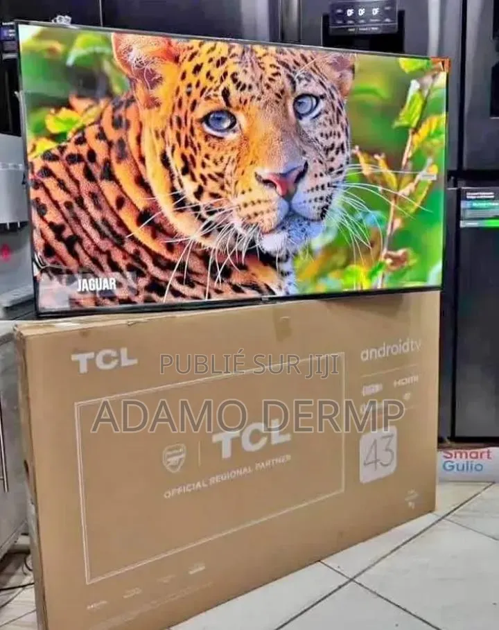 Télévision