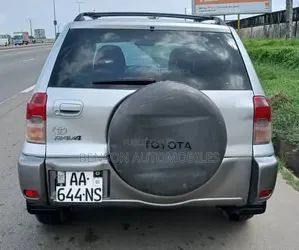 Toyota RAV4 2004 Gris