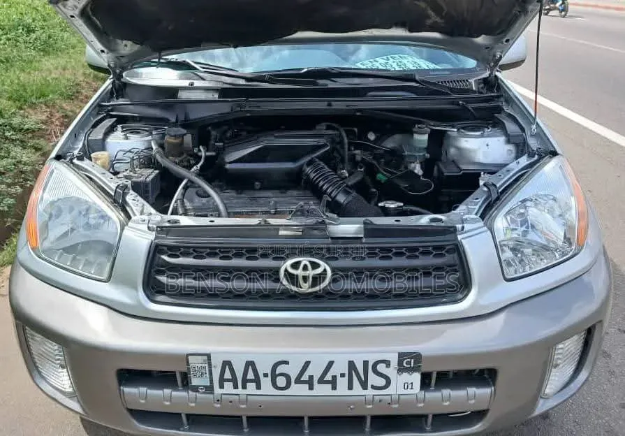 Toyota RAV4 2004 Gris