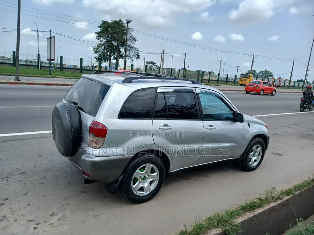 Toyota RAV4 2004 Gris