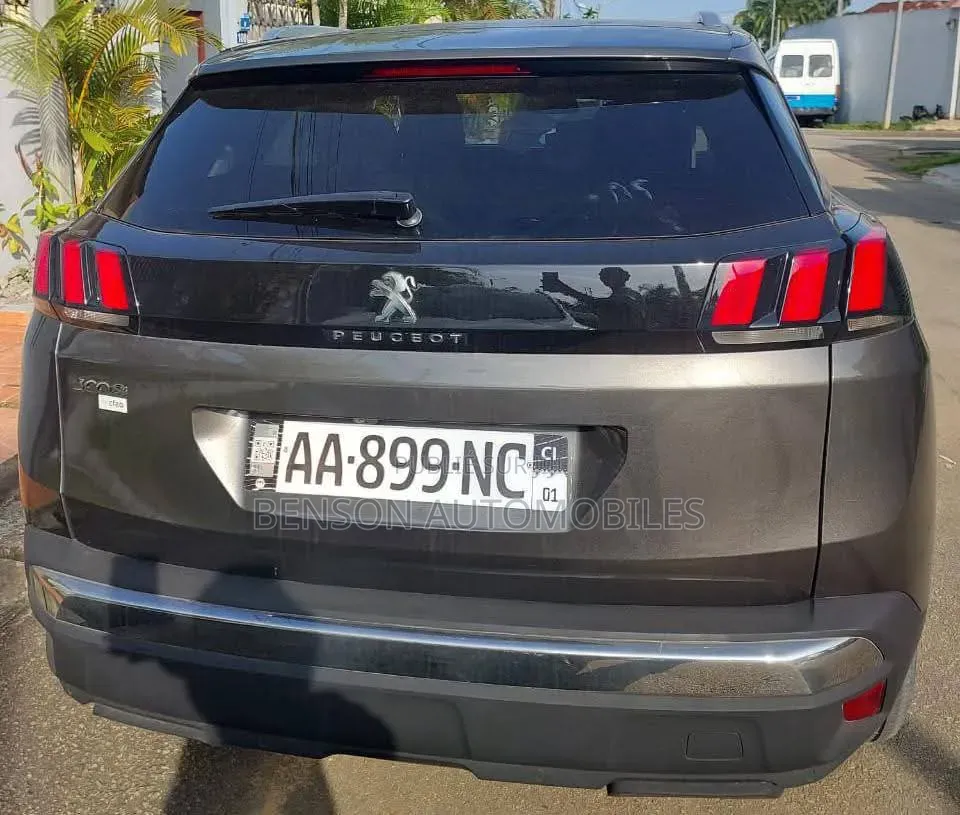 Peugeot 3008 2020 Gris