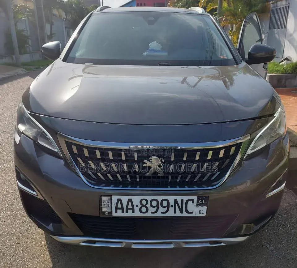 Peugeot 3008 2020 Gris