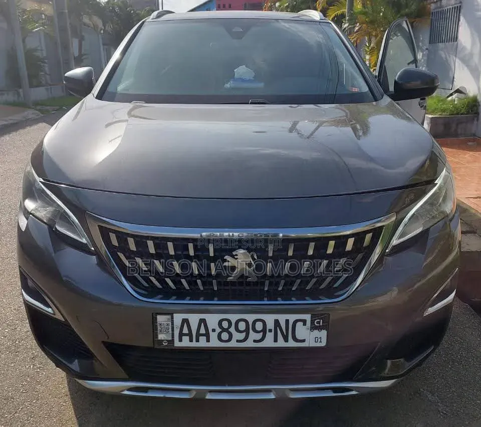 Peugeot 3008 2020 Gris