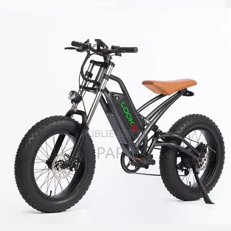 Vélo Électrique