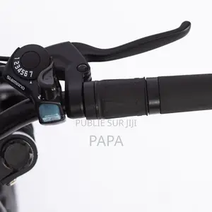 Vélo Électrique