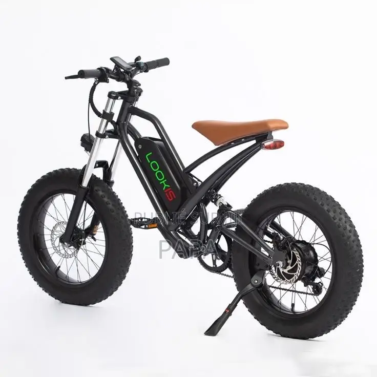Vélo Électrique