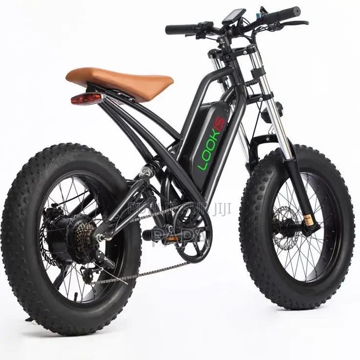 Vélo Électrique
