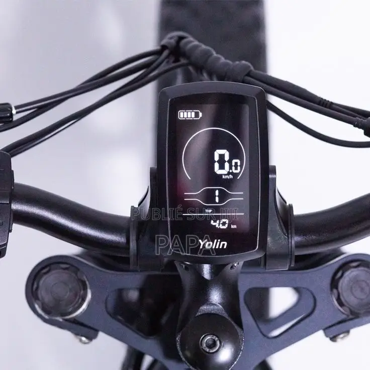 Vélo Électrique