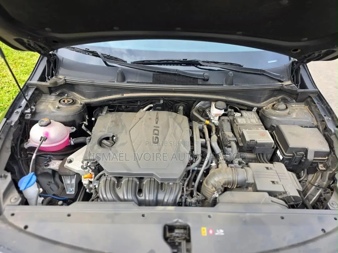 Kia Sportage 2025 Gris
