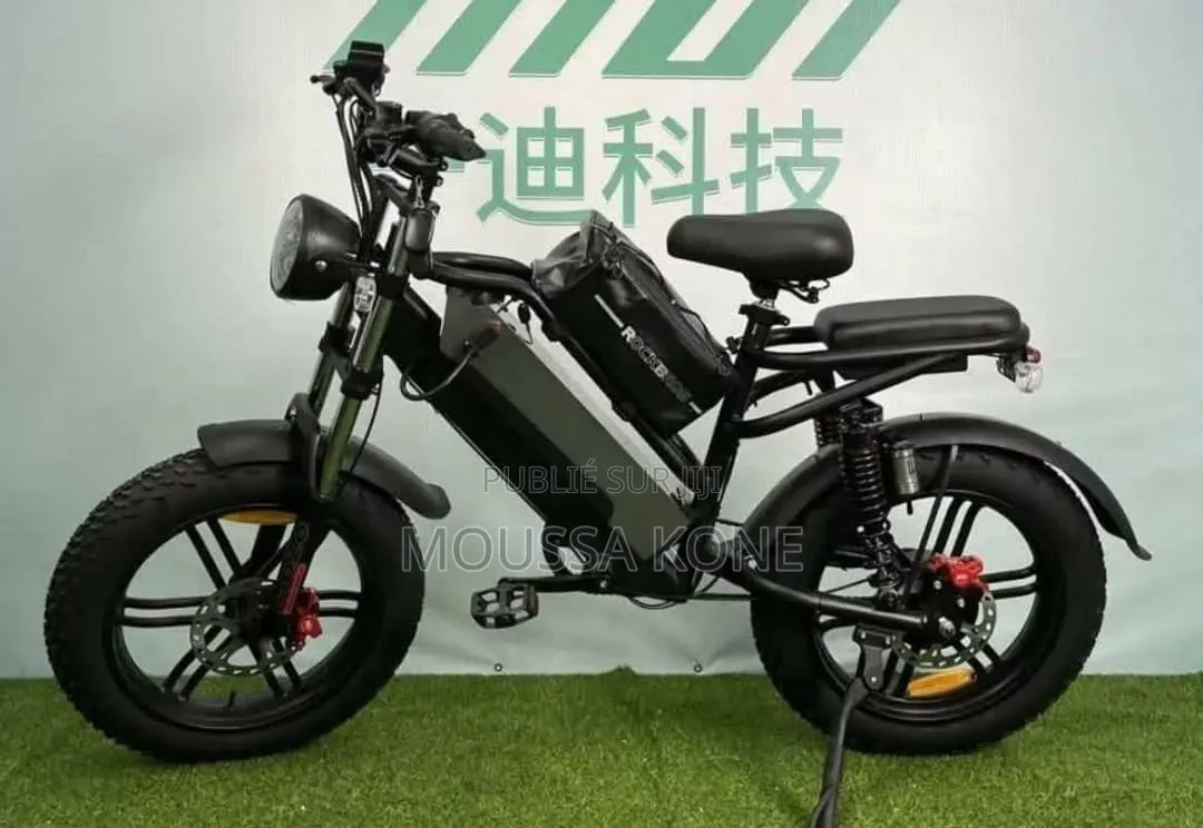 Bicyclette Électrique Puissant