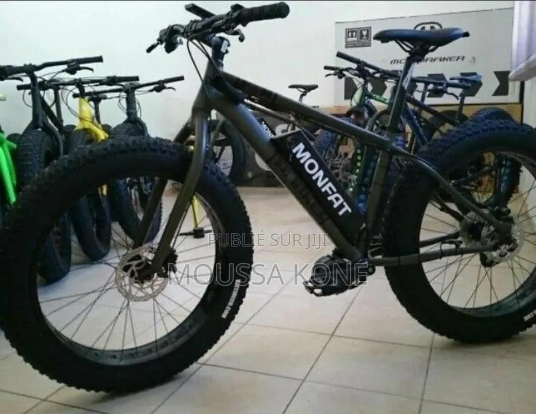 Bicyclette Électrique Puissant