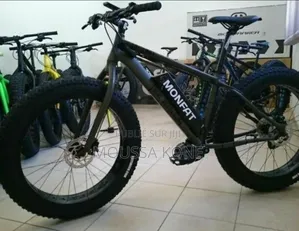 Bicyclette Électrique Puissant