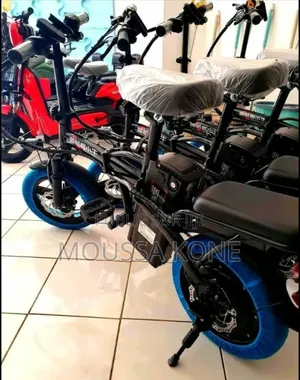 Bicyclette Électrique Puissant